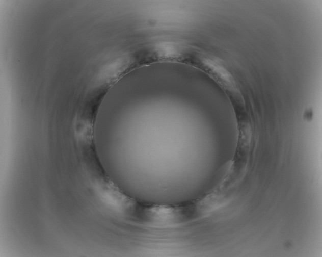 X0000093750419200710231236