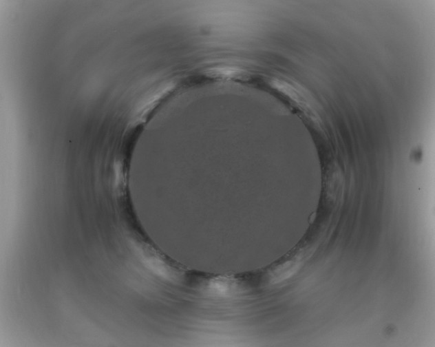 X0000093750420200710231236