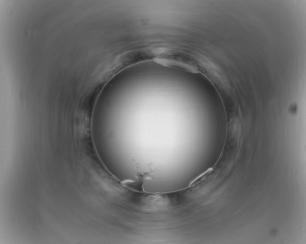 X0000093750421200710231236