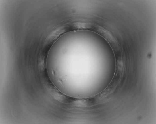 X0000093750422200710231236