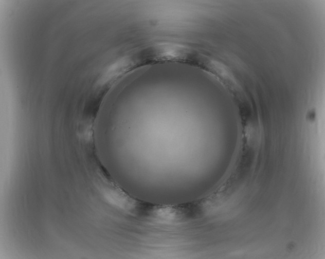X0000093750423200710231236