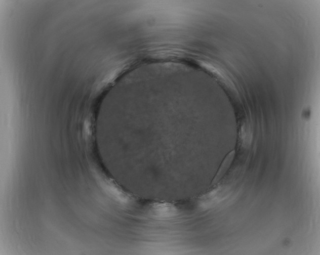 X0000093750424200710231236