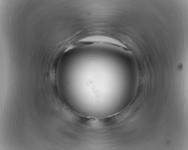 X0000093750425200710231236