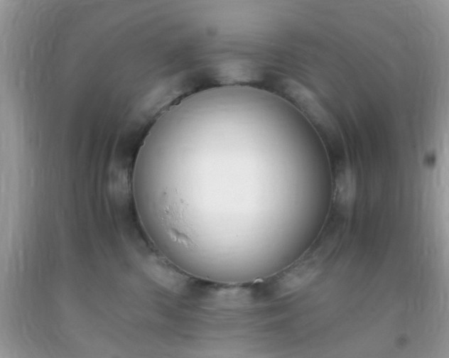 X0000093750426200710231236