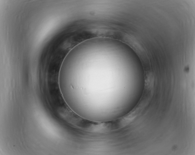 X0000093750430200710231236