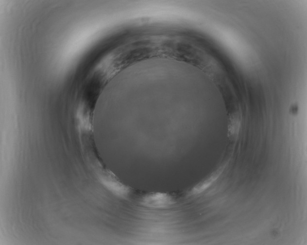 X0000093750431200710231236