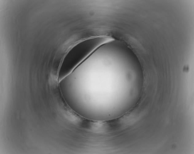 X0000093750432200710231236