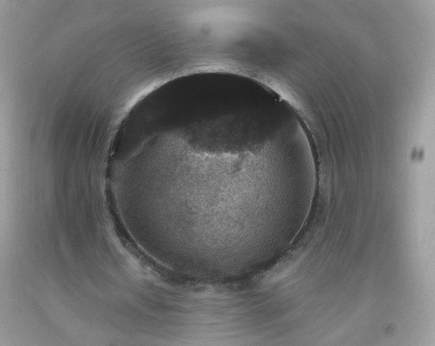 X0000093750434200710231235
