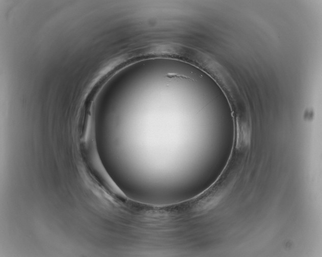 X0000093750435200710231235
