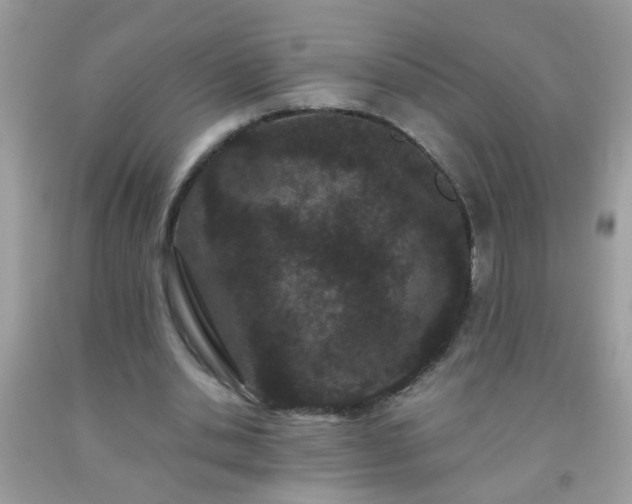 X0000093750438200710231235