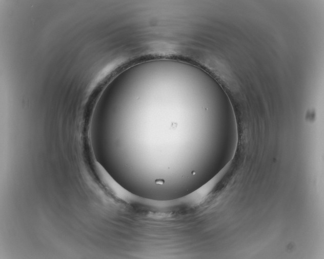 X0000093750440200710231235