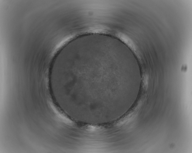 X0000093750442200710231235