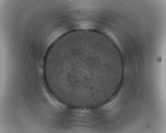 X0000093750443200710231235