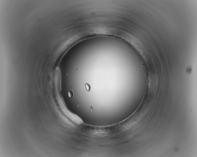 X0000093750445200710231235