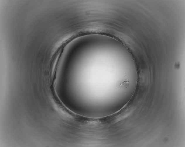 X0000093750446200710231235