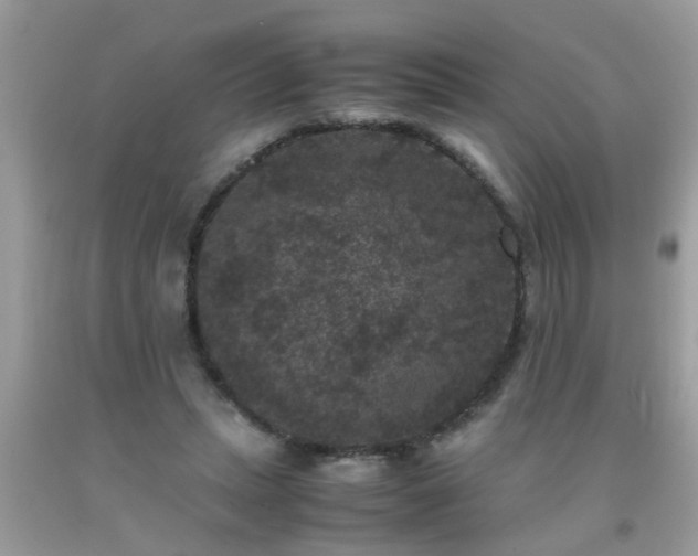 X0000093750447200710231235