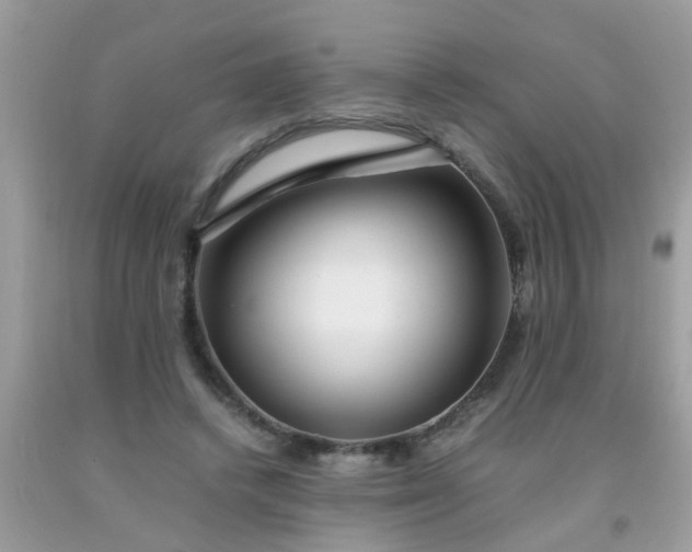 X0000093750448200710231235
