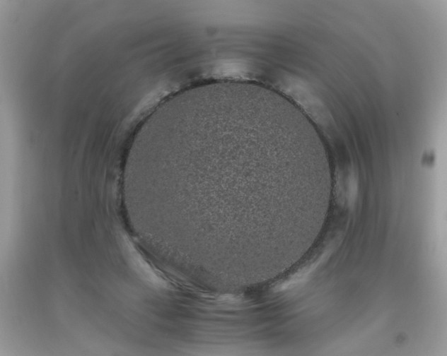 X0000093750449200710231235