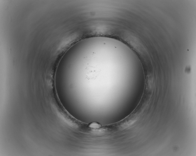 X0000093750450200710231235