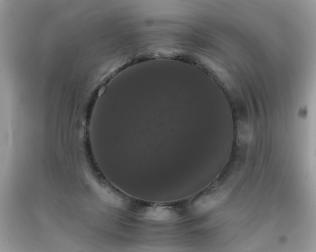 X0000093750451200710231235