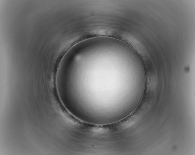 X0000093750453200710231235