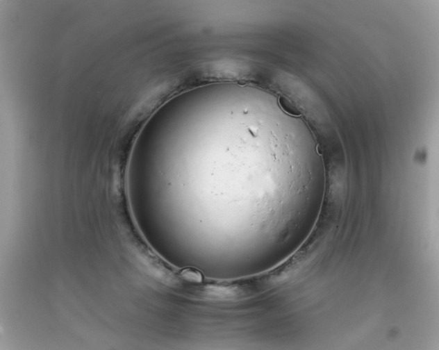 X0000093750457200710231235