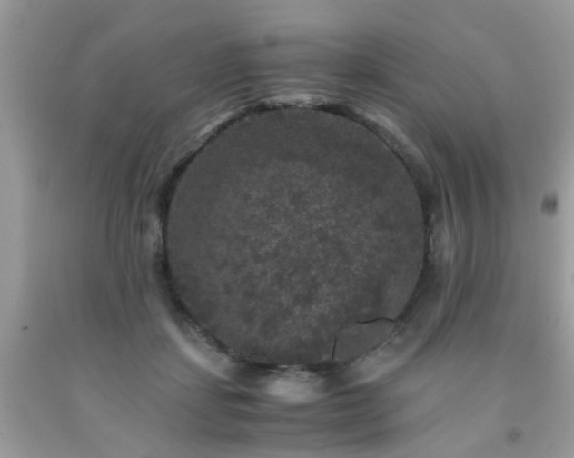 X0000093750459200710231235