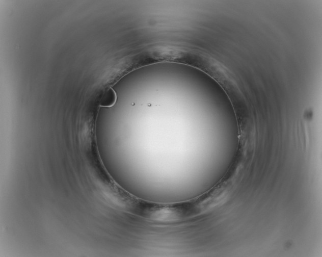 X0000093750460200710231235