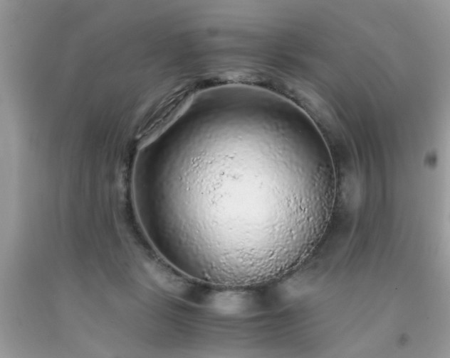 X0000093750461200710231235