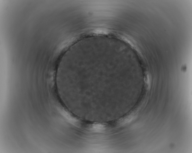 X0000093750462200710231235