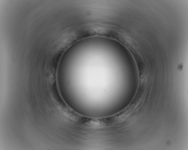 X0000093750464200710231235