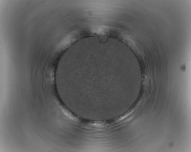 X0000093750466200710231235