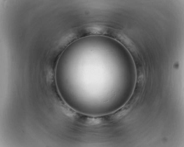 X0000093750469200710231236