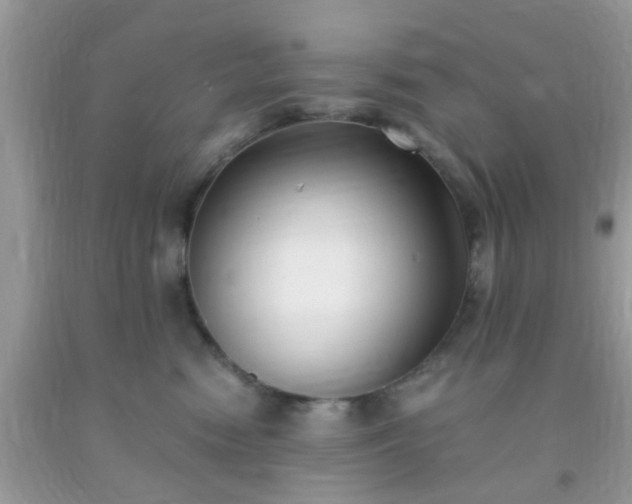 X0000093750474200710231236