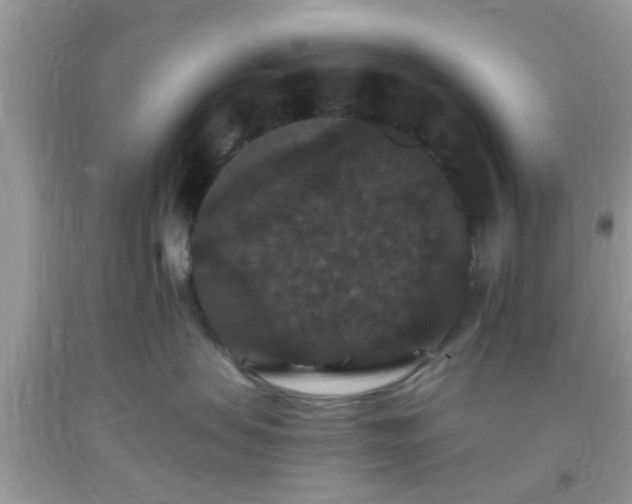 X0000093750479200710231236