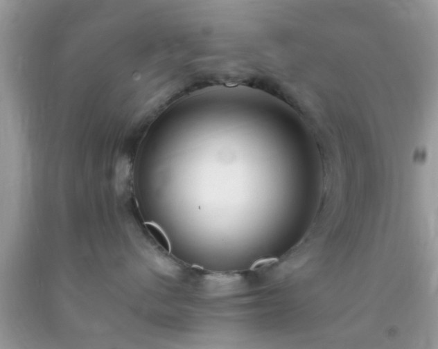 X0000093750480200710231236