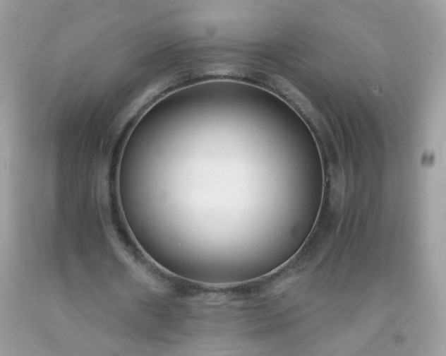 X0000093750482200710231235
