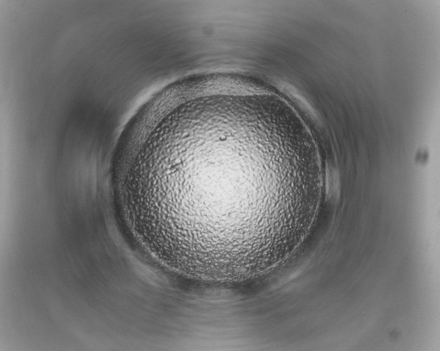 X0000093750483200710231235