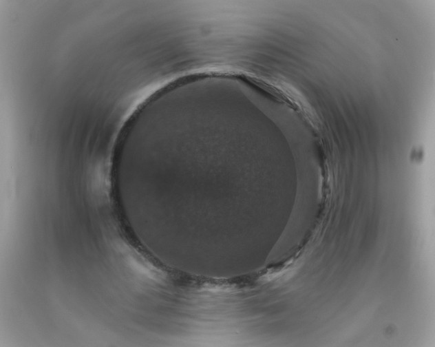 X0000093750484200710231235