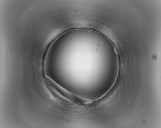 X0000093750485200710231235