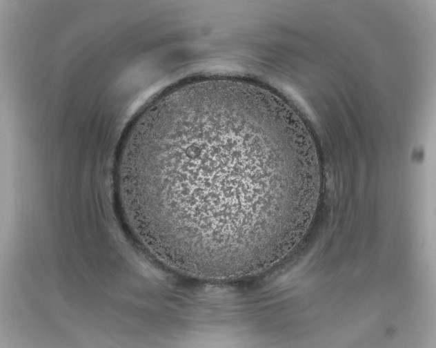 X0000093750487200710231235