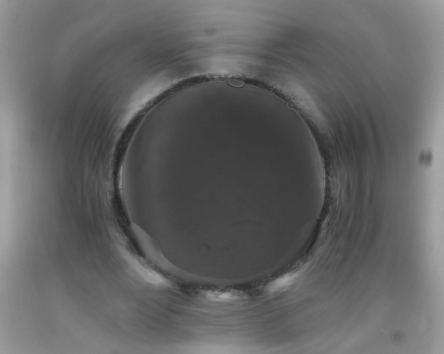 X0000093750488200710231235