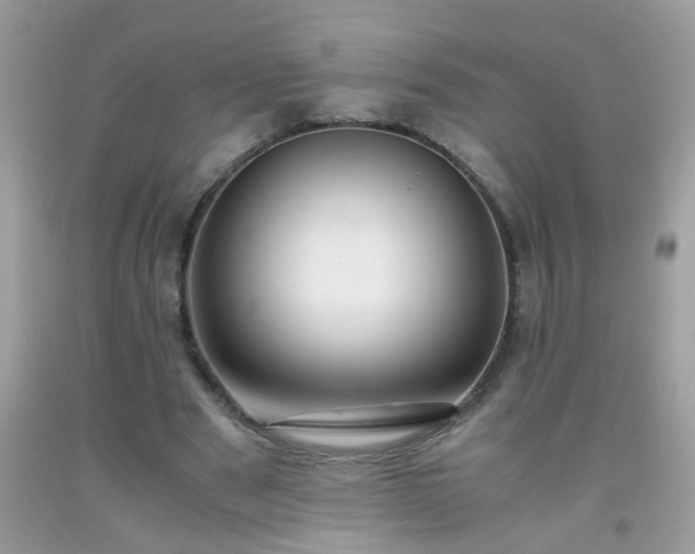 X0000093750489200710231235