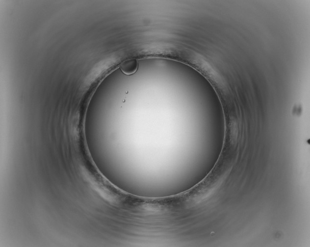 X0000093750490200710231235