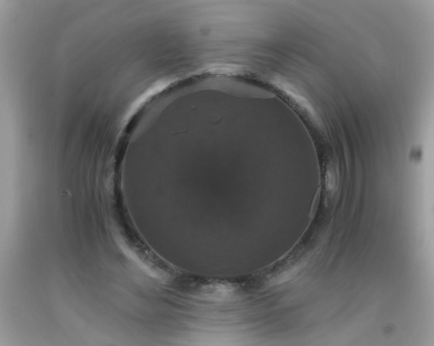X0000093750492200710231235