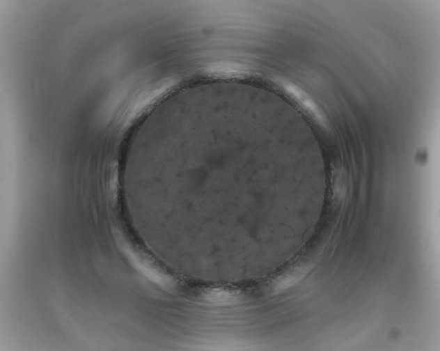 X0000093750494200710231235