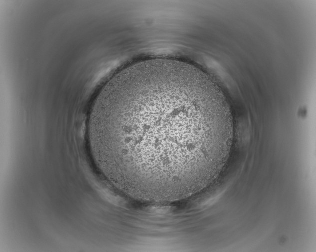X0000093750495200710231235
