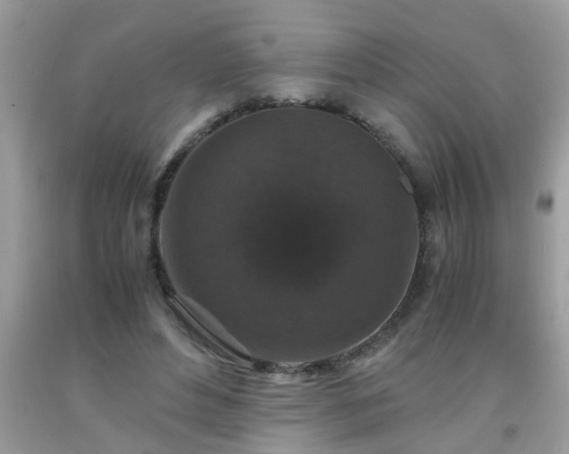 X0000093750496200710231235