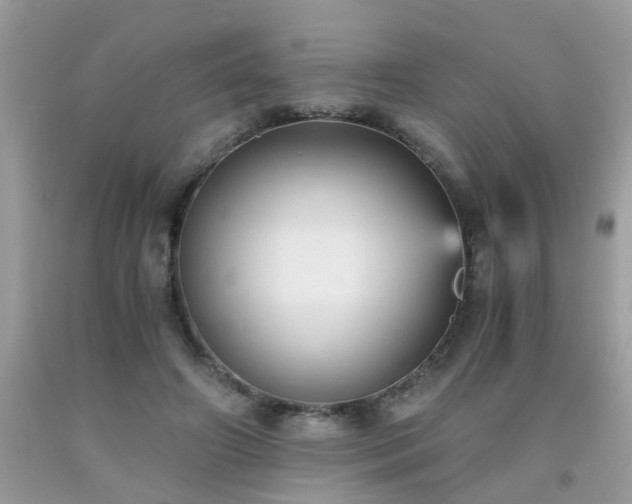 X0000093750498200710231235