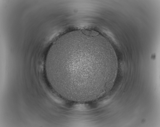 X0000093750499200710231235